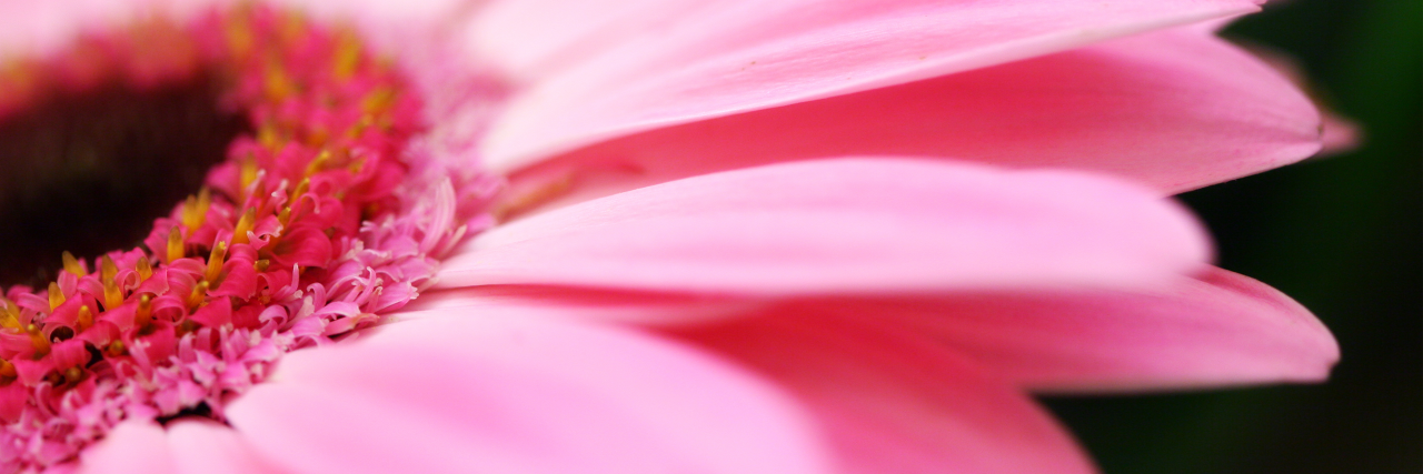 RouxmirvaLL's profile banner image