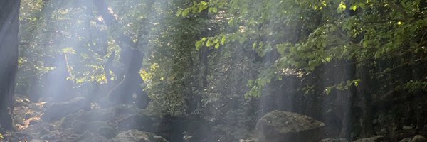 aysan_sbe Profile Banner