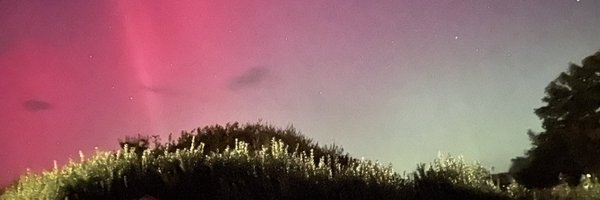 Pieberius Profile Banner