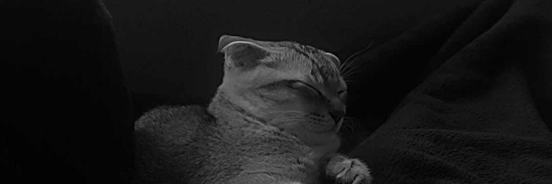 e_ezgiozen's profile banner image