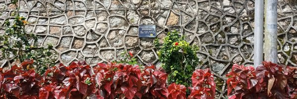inidebi Profile Banner