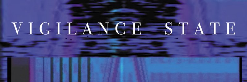 Vigilance State banner