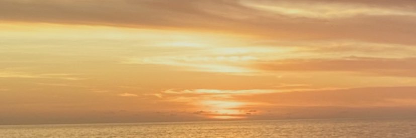 lanadoescomedy's profile banner image