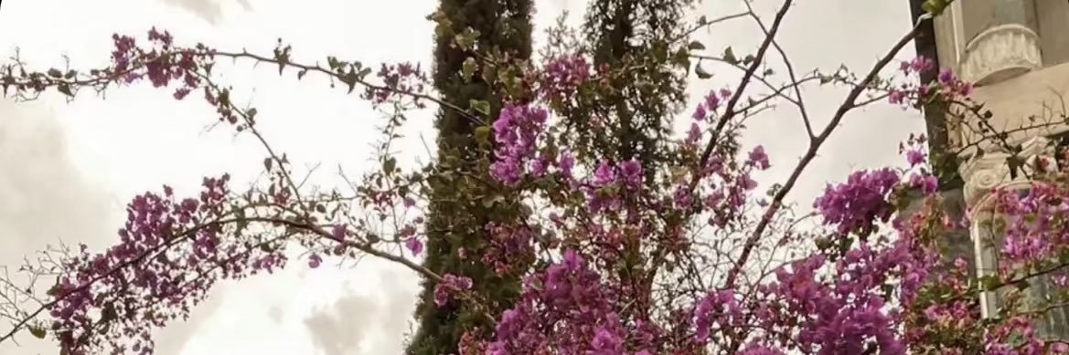 𝔽𝕒𝕥𝕚𝕞𝕒🇦🇪. banner