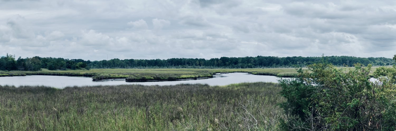 Megan banner
