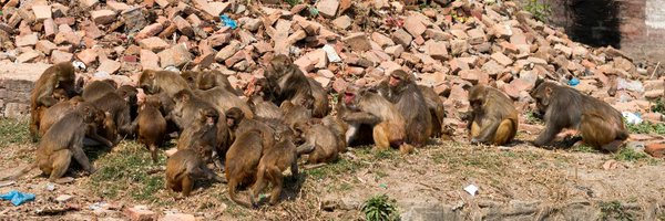 EpiCenterUCD Profile Banner