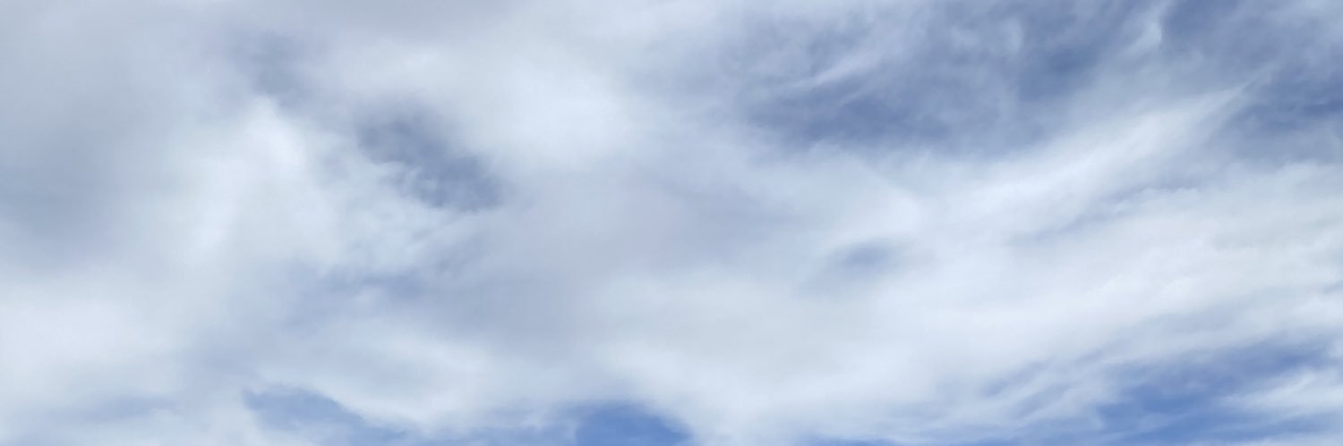 Lycette Beltran banner