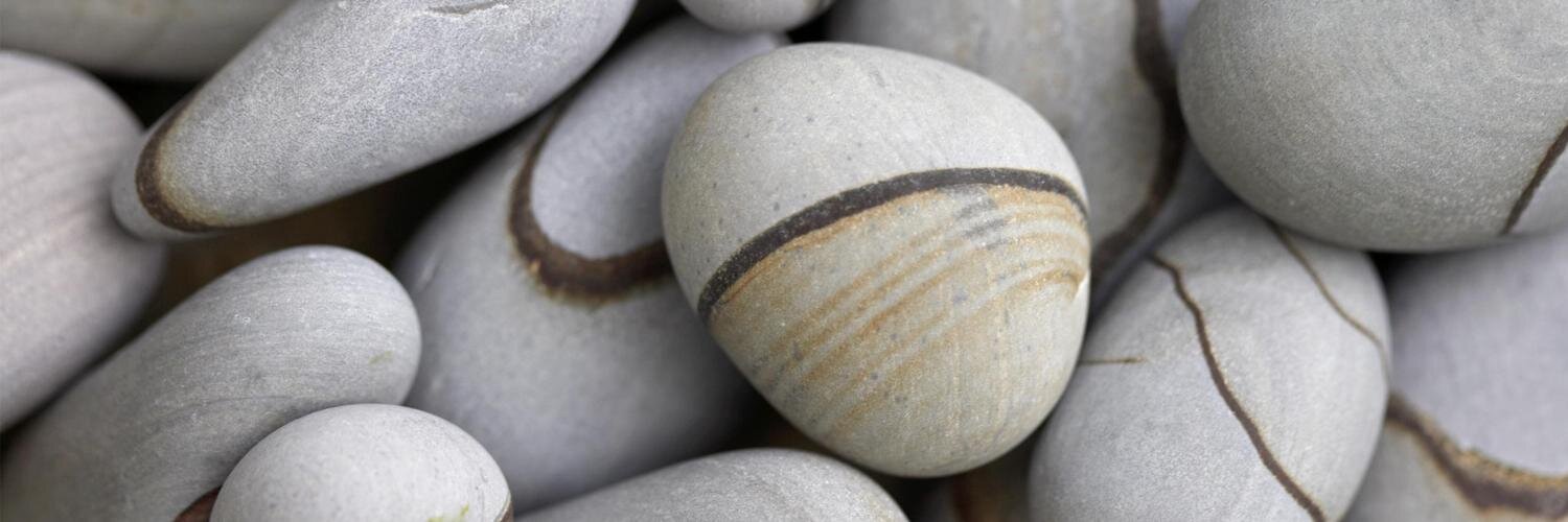 Mario Vega Diaz banner