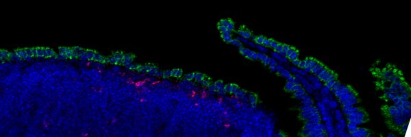 tim_nicelab Profile Banner