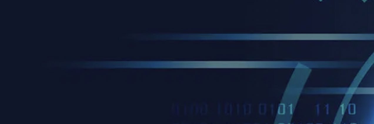 NinjaPrincess banner