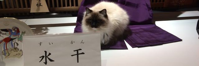 綾＠月光嗜好症 banner