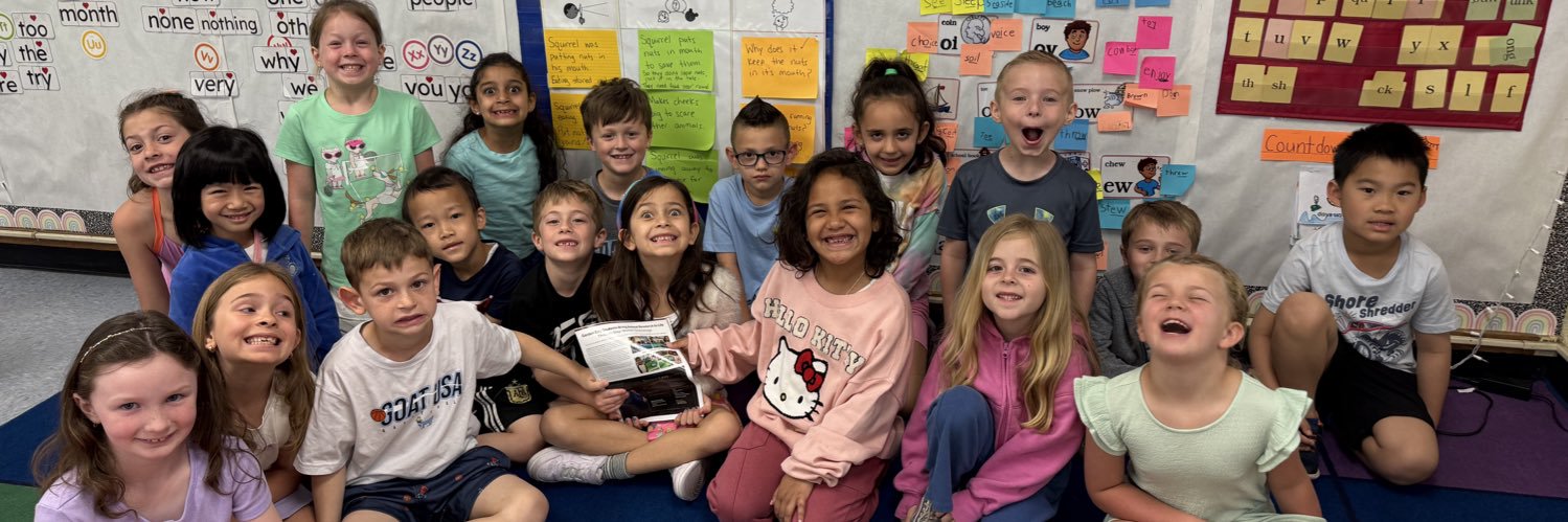 Nicolette Samardich banner