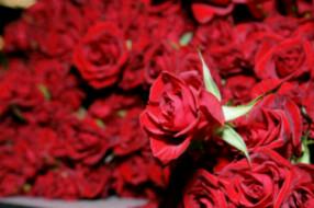ima__yanti's profile banner image