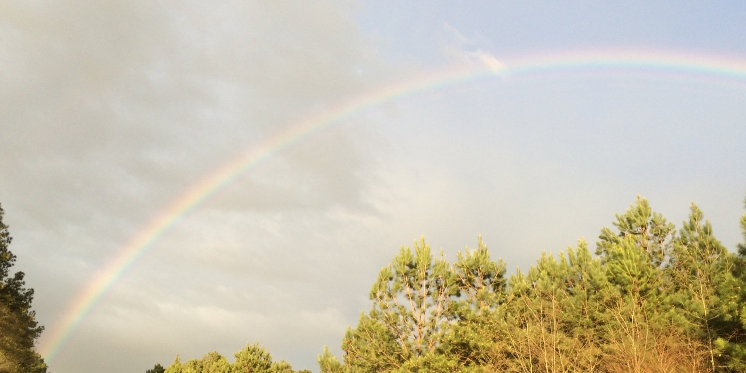 EthanBDavidson's profile banner image