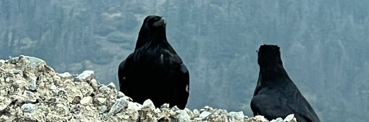 wouldn’t you like to know banner