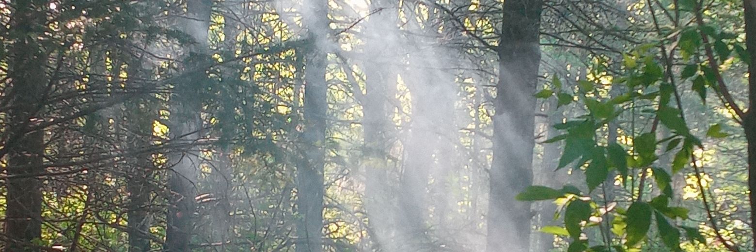 Gil (Gilson)❄️ banner