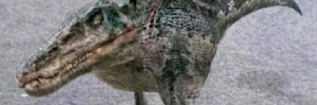 Defaultboe's profile banner image