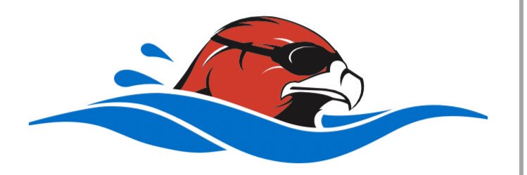 HawkBoysSwimNDive banner