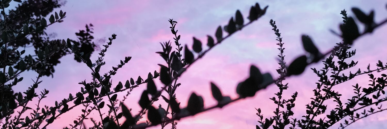 Cass_Dmt's profile banner image