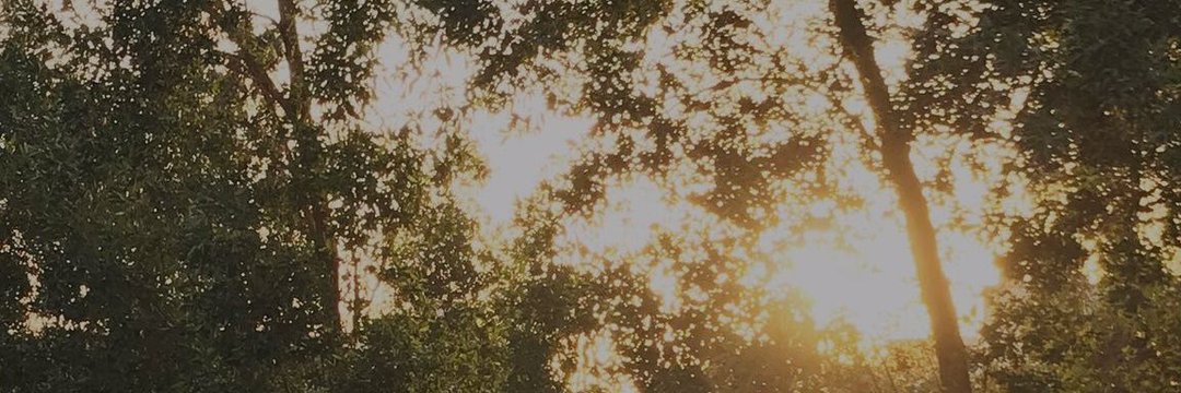 قلب داعيه/معبرة رؤى banner