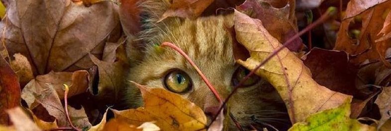 Judith63604862's profile banner image