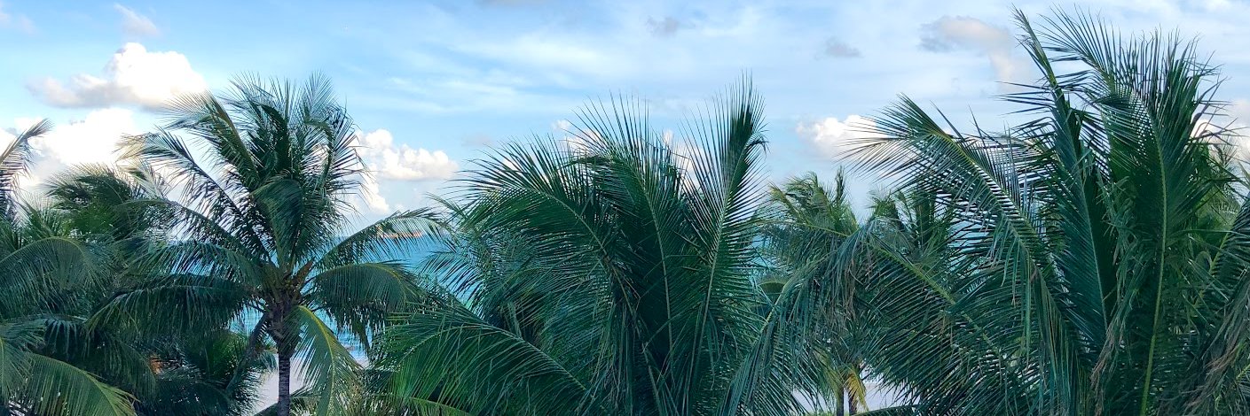 rodrick717's profile banner image