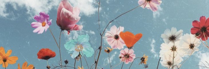 Carlajaynetweet's profile banner image