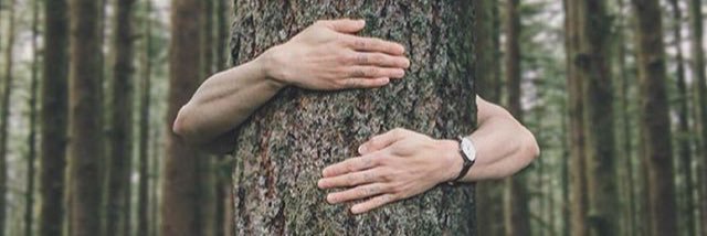 imUrDavid314's profile banner image