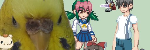 カラス（墨鴉） banner