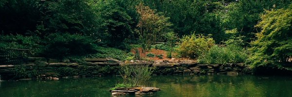 JeneaIA Profile Banner