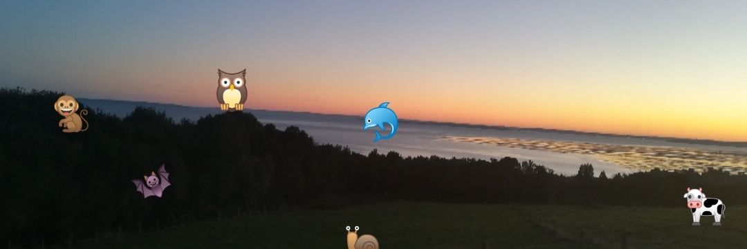 caasx's profile banner image