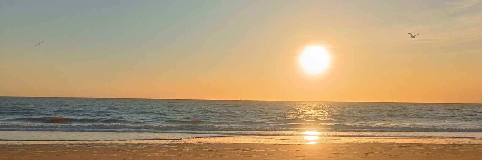 celiacarree's profile banner image