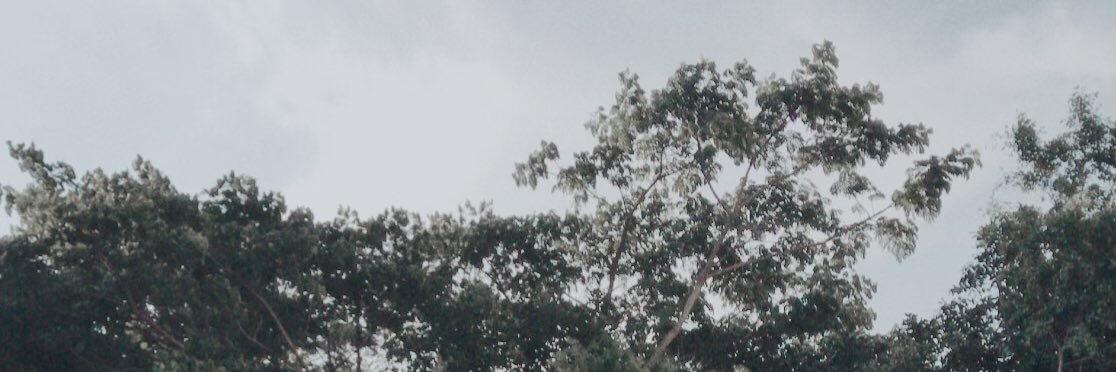 AriFahriza's profile banner image