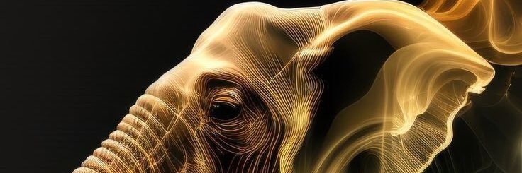 bustardru360's profile banner image