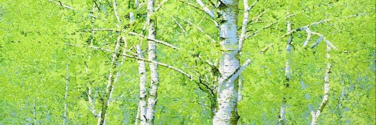 Liz banner