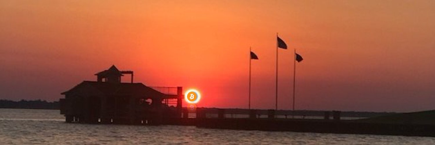 parrottf's profile banner image