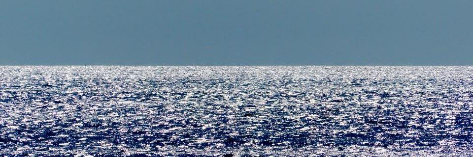 Grażyna Adydan banner