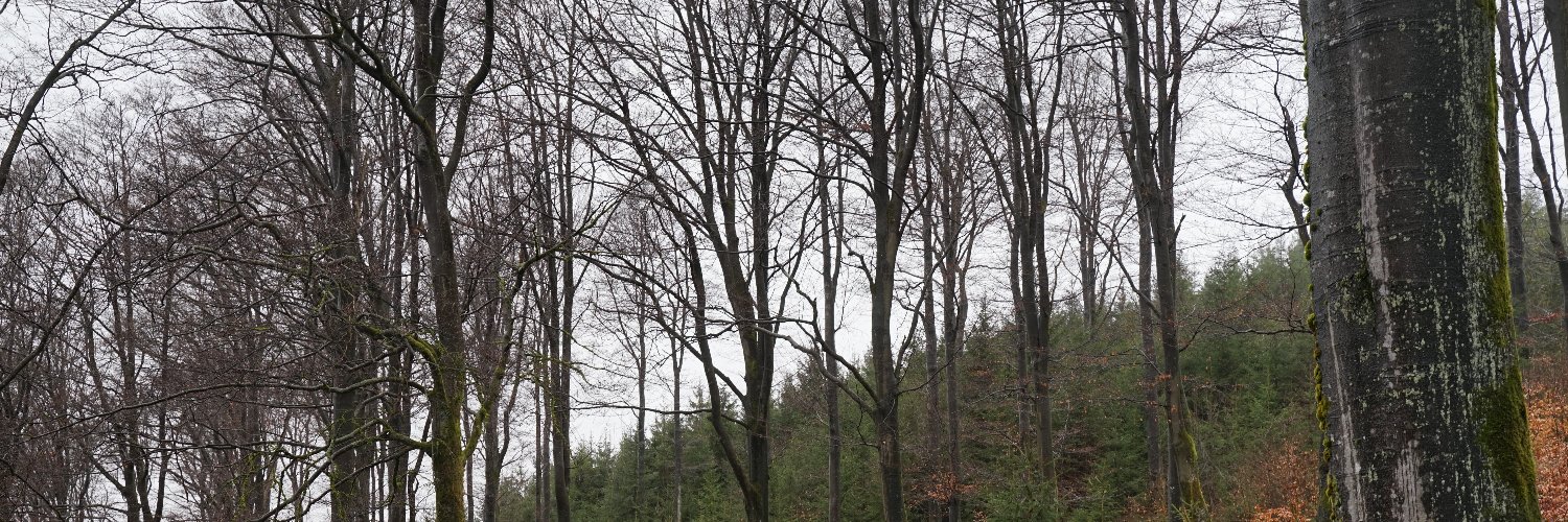 Florian Geiser banner