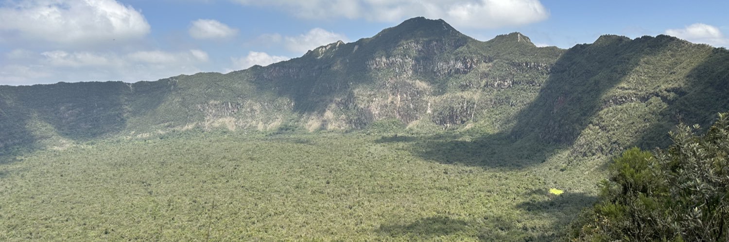 gatabimasy's profile banner image