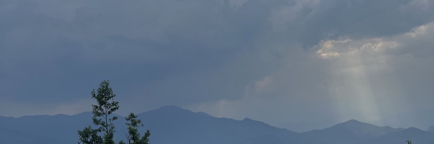 zesty_zeeshan's profile banner image