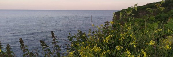 LisaSibthorpe1 Profile Banner