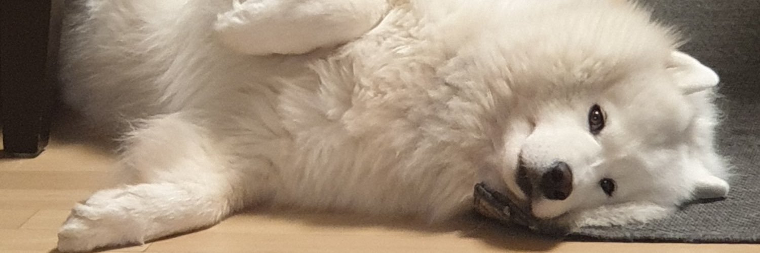 Repeatyourname's profile banner image