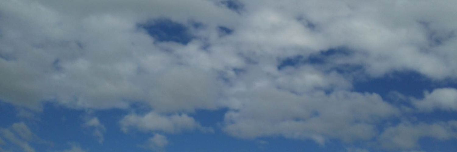 mifana's profile banner image