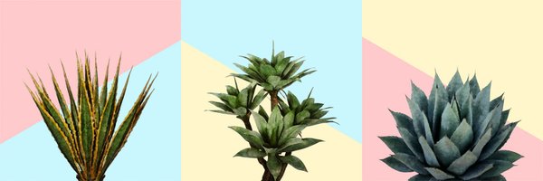 amini54art Profile Banner