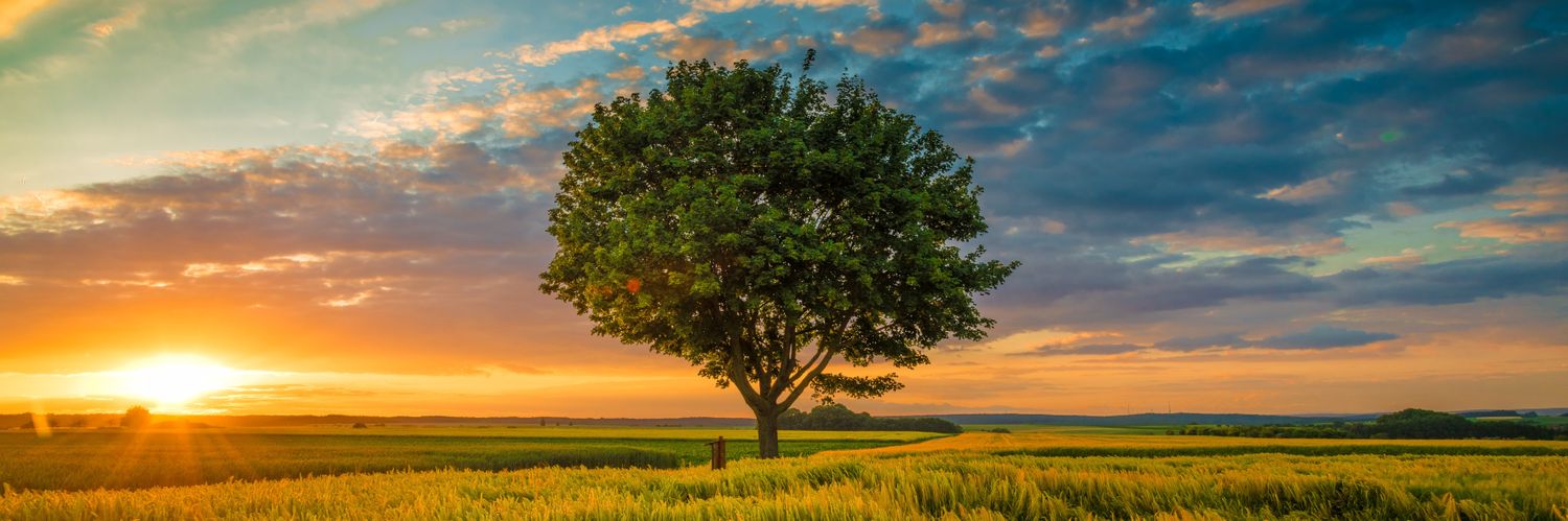 SOUDIVA ❤️ banner