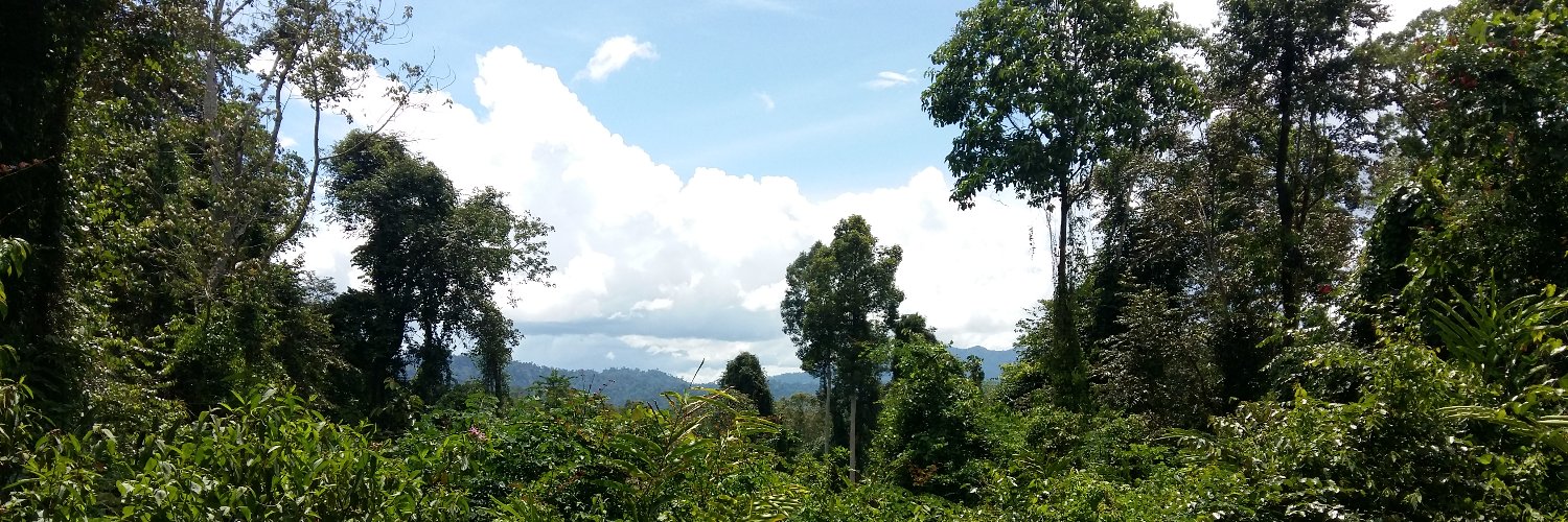 Catherine Finlayson banner