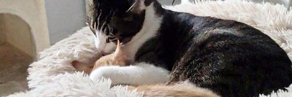 Cristina_B Profile Banner