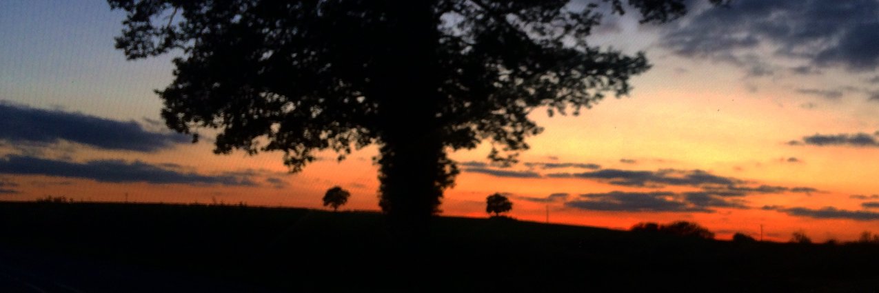 Ciara Askew banner
