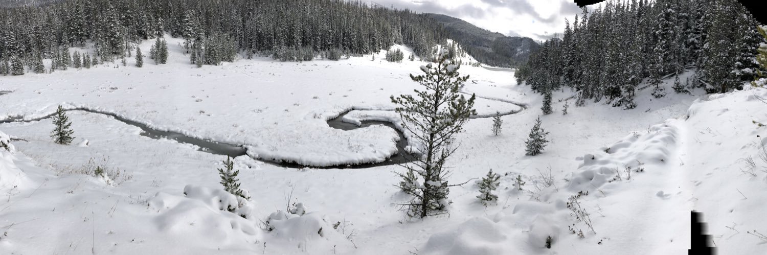 Benjamin Grodner banner