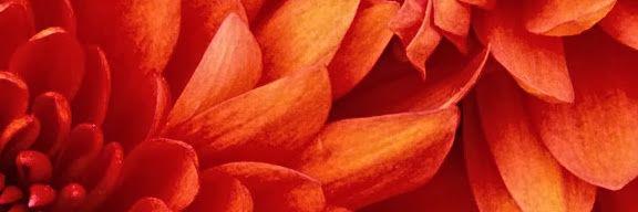 tmoranrn's profile banner image